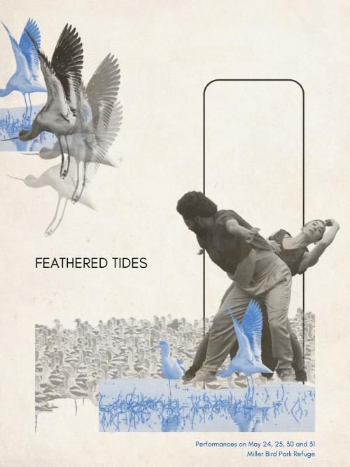 "Feathered Tides" offers thoughtful performance while preserving the natural environment