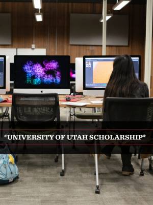 Academic Excellence Scholarship