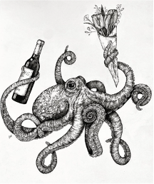 octopus